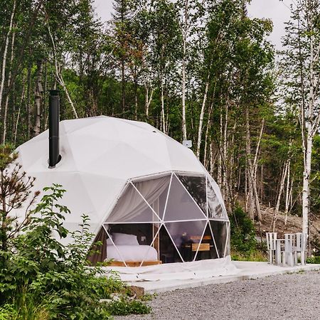 Апартаменты Les Diamants De L'Eternel Saint-David-de-Falardeau Экстерьер фото