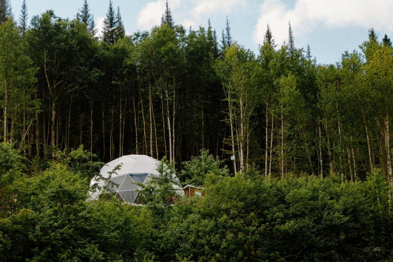Апартаменты Les Diamants De L'Eternel Saint-David-de-Falardeau Экстерьер фото